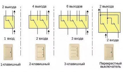 Kinds of Switches