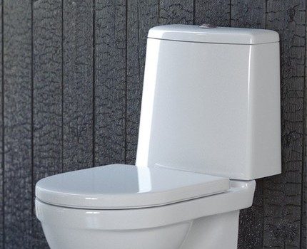 Toalettstolar Sanita Luxe