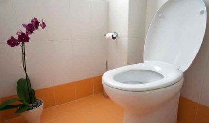 Duroplast toalettstol