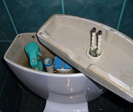 De toiletpot schoonmaken
