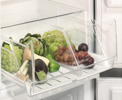 Contenitori ergonomici nel frigorifero Elctrolux