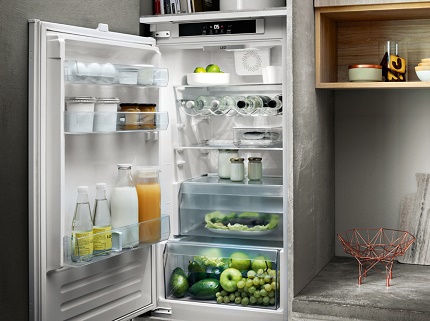 Réfrigérateur compact pour chalet d'été