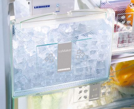 Ice container
