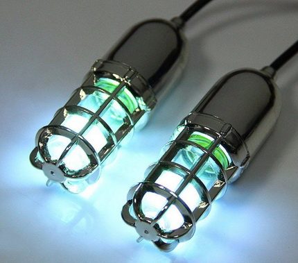 Amalgam UV Lamps