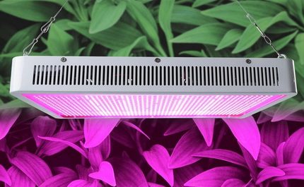 Lampu UV untuk tumbuh-tumbuhan