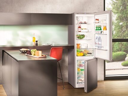 Liebher refrigerator in the interior