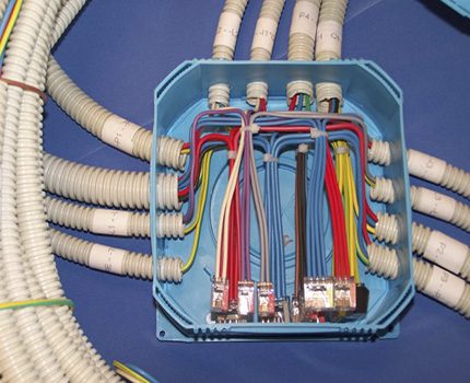Cables de la caja de conexiones
