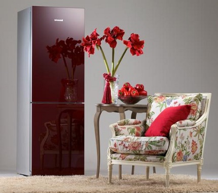 Refrigerator manufactured by Snage