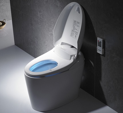 Ang sahig ay naka-mount electronic toilet