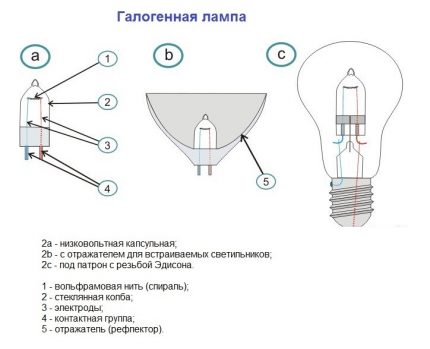 Varieties of halogen lamps