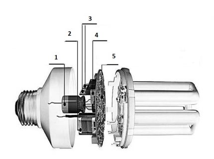 Elements of a discharge lamp