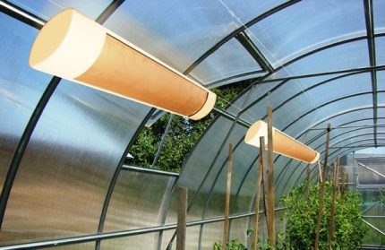 Infračervená lampa v skleníku