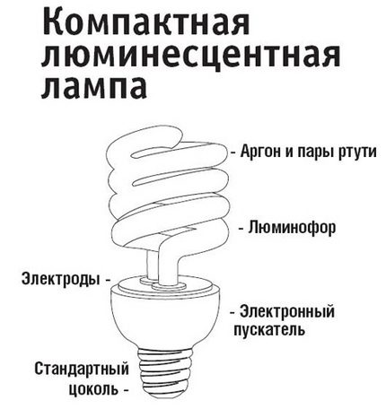 El dispositivo de lámparas fluorescentes compactas.