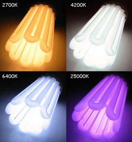 Light bulb color temperature
