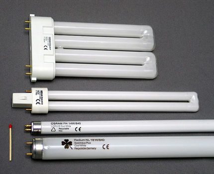 Fluorescent tubes of various shapes