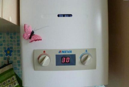 Calentador de agua a gas
