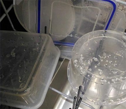 Gotes d’aigua als plats després d’assecar-se