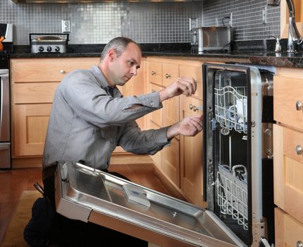 Master inspiserer oppvaskmaskinen