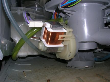 Dishwasher drain pump