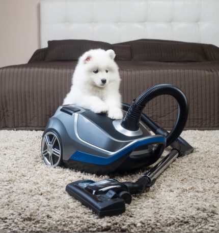 Midea carpet cleaner with pile