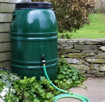 Green barrel for water in the garden