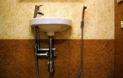Wall-mounted hygiene shower