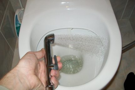 Use of a hygienic shower