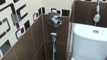 Panel for built-in hygienic shower