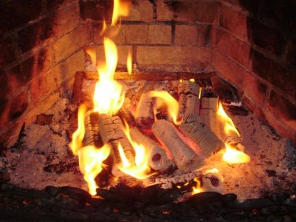 Brûlure de briquettes de sciure