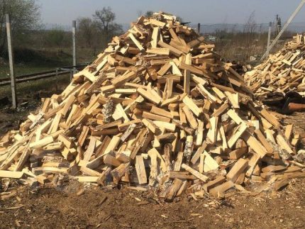 Firewood from different species of wood