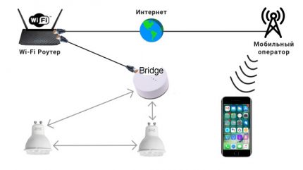 مخطط جسر الشبكة