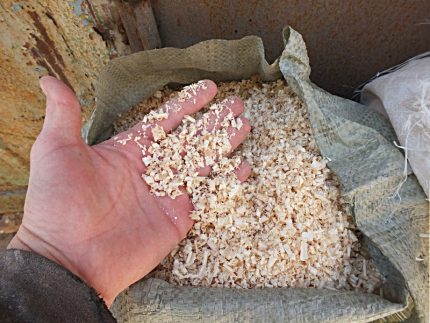Sawdust and shavings in the palm of your hand
