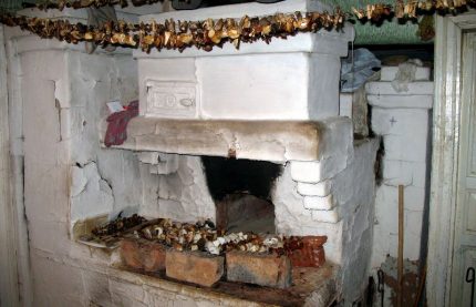 Secado de hongos en un horno ruso