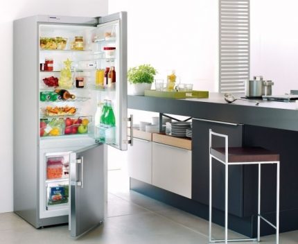 Kitchen fridge