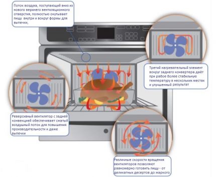 The principle of operation of the oven with convection