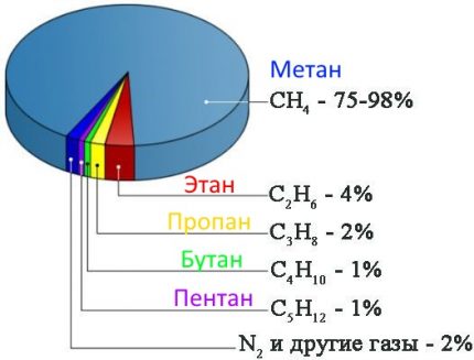 Composition of gas as a percentage