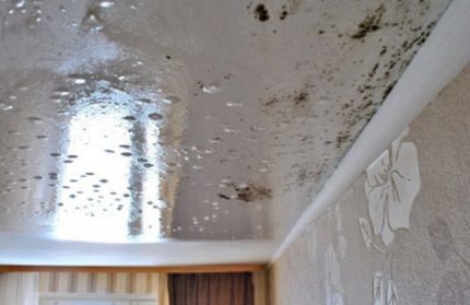 Stretch ceiling mold