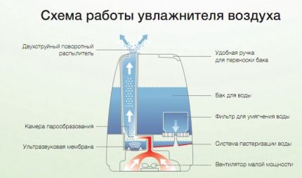The principle of operation of the ultrasonic humidifier