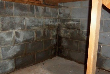 Black mold in the corner of the foundation