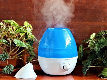 Humidifier for indoor flowers