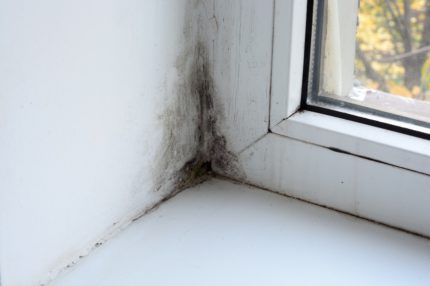 Mold as a result of poor air exchange