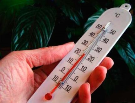 Verificarea temperaturii camerei