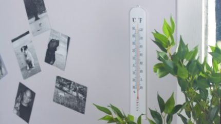 Thermomètre mural