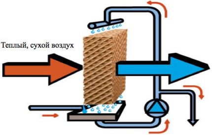 Principiul funcționării evaporatorului pe bază de cartușe celulare