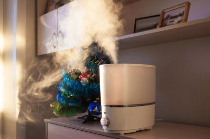 Humidifier in the winter