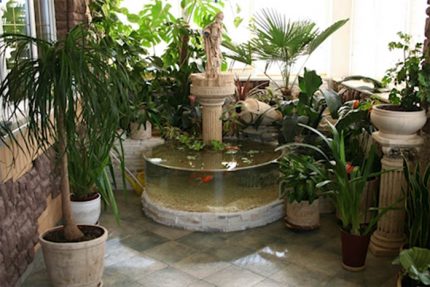 Inomhus fontäner och växter