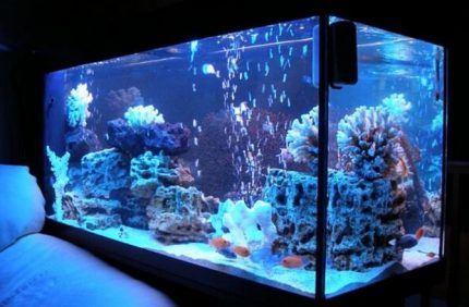 Akvarij s pozadinskim osvjetljenjem za spavaću sobu