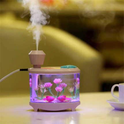 Humidifier with ionizer