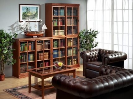 Home library with bookcase